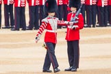 The Colonel's Review 2016.
Horse Guards Parade, Westminster,
London,

United Kingdom,
on 04 June 2016 at 10:34, image #87