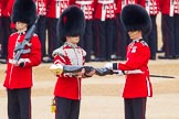 The Colonel's Review 2016.
Horse Guards Parade, Westminster,
London,

United Kingdom,
on 04 June 2016 at 10:34, image #89