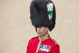 Trooping the Colour 2016.
Horse Guards Parade, Westminster,
London SW1A,
London,
United Kingdom,
on 11 June 2016 at 09:17, image #8