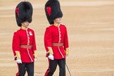 Trooping the Colour 2016.
Horse Guards Parade, Westminster,
London SW1A,
London,
United Kingdom,
on 11 June 2016 at 10:04, image #60