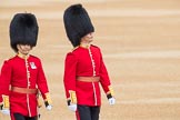 Trooping the Colour 2016.
Horse Guards Parade, Westminster,
London SW1A,
London,
United Kingdom,
on 11 June 2016 at 10:05, image #65