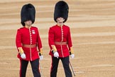 Trooping the Colour 2016.
Horse Guards Parade, Westminster,
London SW1A,
London,
United Kingdom,
on 11 June 2016 at 10:05, image #66