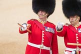 Trooping the Colour 2016.
Horse Guards Parade, Westminster,
London SW1A,
London,
United Kingdom,
on 11 June 2016 at 10:05, image #67