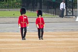 Trooping the Colour 2016.
Horse Guards Parade, Westminster,
London SW1A,
London,
United Kingdom,
on 11 June 2016 at 10:05, image #68