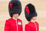 Trooping the Colour 2016.
Horse Guards Parade, Westminster,
London SW1A,
London,
United Kingdom,
on 11 June 2016 at 10:06, image #69