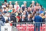 Trooping the Colour 2016.
Horse Guards Parade, Westminster,
London SW1A,
London,
United Kingdom,
on 11 June 2016 at 10:07, image #71