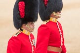 Trooping the Colour 2016.
Horse Guards Parade, Westminster,
London SW1A,
London,
United Kingdom,
on 11 June 2016 at 10:07, image #72