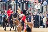 Trooping the Colour 2016.
Horse Guards Parade, Westminster,
London SW1A,
London,
United Kingdom,
on 11 June 2016 at 11:00, image #324