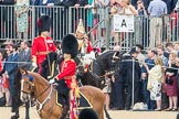 Trooping the Colour 2016.
Horse Guards Parade, Westminster,
London SW1A,
London,
United Kingdom,
on 11 June 2016 at 11:00, image #325