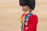 Trooping the Colour 2016.
Horse Guards Parade, Westminster,
London SW1A,
London,
United Kingdom,
on 11 June 2016 at 11:01, image #348