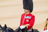 Trooping the Colour 2016.
Horse Guards Parade, Westminster,
London SW1A,
London,
United Kingdom,
on 11 June 2016 at 11:02, image #352