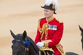 Trooping the Colour 2016.
Horse Guards Parade, Westminster,
London SW1A,
London,
United Kingdom,
on 11 June 2016 at 11:02, image #355