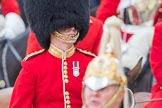 Trooping the Colour 2016.
Horse Guards Parade, Westminster,
London SW1A,
London,
United Kingdom,
on 11 June 2016 at 11:02, image #364