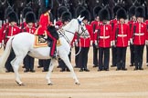 Trooping the Colour 2016.
Horse Guards Parade, Westminster,
London SW1A,
London,
United Kingdom,
on 11 June 2016 at 11:02, image #366