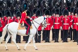 Trooping the Colour 2016.
Horse Guards Parade, Westminster,
London SW1A,
London,
United Kingdom,
on 11 June 2016 at 11:02, image #367