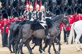 Trooping the Colour 2016.
Horse Guards Parade, Westminster,
London SW1A,
London,
United Kingdom,
on 11 June 2016 at 11:02, image #368