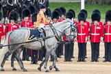 Trooping the Colour 2016.
Horse Guards Parade, Westminster,
London SW1A,
London,
United Kingdom,
on 11 June 2016 at 11:03, image #369