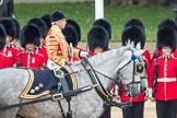 Trooping the Colour 2016.
Horse Guards Parade, Westminster,
London SW1A,
London,
United Kingdom,
on 11 June 2016 at 11:03, image #370