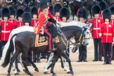 Trooping the Colour 2016.
Horse Guards Parade, Westminster,
London SW1A,
London,
United Kingdom,
on 11 June 2016 at 11:03, image #373