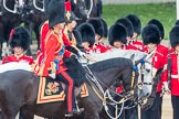 Trooping the Colour 2016.
Horse Guards Parade, Westminster,
London SW1A,
London,
United Kingdom,
on 11 June 2016 at 11:03, image #374