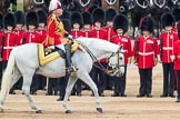 Trooping the Colour 2016.
Horse Guards Parade, Westminster,
London SW1A,
London,
United Kingdom,
on 11 June 2016 at 11:03, image #376