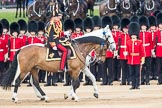 Trooping the Colour 2016.
Horse Guards Parade, Westminster,
London SW1A,
London,
United Kingdom,
on 11 June 2016 at 11:03, image #377