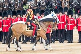 Trooping the Colour 2016.
Horse Guards Parade, Westminster,
London SW1A,
London,
United Kingdom,
on 11 June 2016 at 11:03, image #378