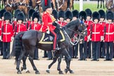 Trooping the Colour 2016.
Horse Guards Parade, Westminster,
London SW1A,
London,
United Kingdom,
on 11 June 2016 at 11:03, image #379