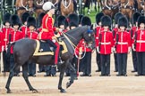 Trooping the Colour 2016.
Horse Guards Parade, Westminster,
London SW1A,
London,
United Kingdom,
on 11 June 2016 at 11:03, image #380