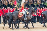 Trooping the Colour 2016.
Horse Guards Parade, Westminster,
London SW1A,
London,
United Kingdom,
on 11 June 2016 at 11:03, image #381