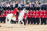 Trooping the Colour 2016.
Horse Guards Parade, Westminster,
London SW1A,
London,
United Kingdom,
on 11 June 2016 at 11:03, image #382