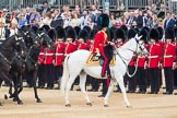 Trooping the Colour 2016.
Horse Guards Parade, Westminster,
London SW1A,
London,
United Kingdom,
on 11 June 2016 at 11:03, image #383