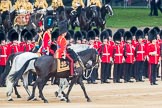 Trooping the Colour 2016.
Horse Guards Parade, Westminster,
London SW1A,
London,
United Kingdom,
on 11 June 2016 at 11:03, image #386