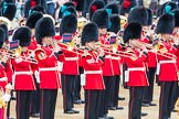 Trooping the Colour 2016.
Horse Guards Parade, Westminster,
London SW1A,
London,
United Kingdom,
on 11 June 2016 at 11:05, image #389