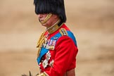 Trooping the Colour 2016.
Horse Guards Parade, Westminster,
London SW1A,
London,
United Kingdom,
on 11 June 2016 at 12:13, image #884