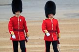 during The Colonel's Review {iptcyear4} (final rehearsal for Trooping the Colour, The Queen's Birthday Parade)  at Horse Guards Parade, Westminster, London, 2 June 2018, 09:55.