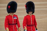 during The Colonel's Review {iptcyear4} (final rehearsal for Trooping the Colour, The Queen's Birthday Parade)  at Horse Guards Parade, Westminster, London, 2 June 2018, 09:56.