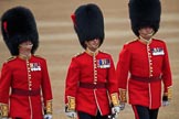 during The Colonel's Review {iptcyear4} (final rehearsal for Trooping the Colour, The Queen's Birthday Parade)  at Horse Guards Parade, Westminster, London, 2 June 2018, 09:56.