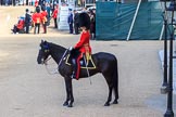 Parade Adjutant, Captain HC Codrington, Coldstream Guards (30) on horseback before Trooping the Colour 2018, The Queen's Birthday Parade at Horse Guards Parade, Westminster, London, 9 June 2018, 10:23.