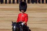 during Trooping the Colour {iptcyear4}, The Queen's Birthday Parade at Horse Guards Parade, Westminster, London, 9 June 2018, 10:39.