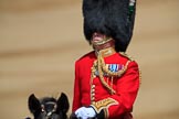 during Trooping the Colour {iptcyear4}, The Queen's Birthday Parade at Horse Guards Parade, Westminster, London, 9 June 2018, 10:56.