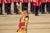 during Trooping the Colour {iptcyear4}, The Queen's Birthday Parade at Horse Guards Parade, Westminster, London, 9 June 2018, 11:11.