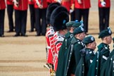 during Trooping the Colour {iptcyear4}, The Queen's Birthday Parade at Horse Guards Parade, Westminster, London, 9 June 2018, 11:16.