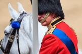 during Trooping the Colour {iptcyear4}, The Queen's Birthday Parade at Horse Guards Parade, Westminster, London, 9 June 2018, 11:17.