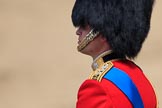 during Trooping the Colour {iptcyear4}, The Queen's Birthday Parade at Horse Guards Parade, Westminster, London, 9 June 2018, 11:17.