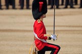 during Trooping the Colour {iptcyear4}, The Queen's Birthday Parade at Horse Guards Parade, Westminster, London, 9 June 2018, 11:18.