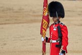 during Trooping the Colour {iptcyear4}, The Queen's Birthday Parade at Horse Guards Parade, Westminster, London, 9 June 2018, 11:19.