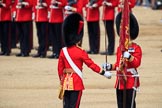 during Trooping the Colour {iptcyear4}, The Queen's Birthday Parade at Horse Guards Parade, Westminster, London, 9 June 2018, 11:20.