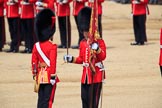 during Trooping the Colour {iptcyear4}, The Queen's Birthday Parade at Horse Guards Parade, Westminster, London, 9 June 2018, 11:21.