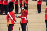 during Trooping the Colour {iptcyear4}, The Queen's Birthday Parade at Horse Guards Parade, Westminster, London, 9 June 2018, 11:21.